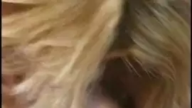 كسنيكسكس