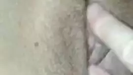 سكس لافتها الصقير