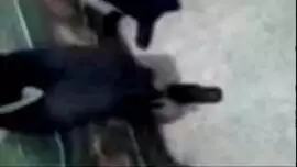 سيكس نيك وصول للنشوة