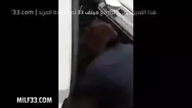 المملكة الشق،اء