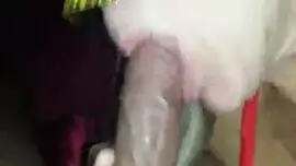 معصوب العينين جبهة تحرير مورو الإسلامية مع شعر كس ، أنطونيا الأسود قدم تيتجوب إلى عشيقها ، قبل أن يمارس الجنس معها جيدة