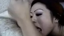 مهرج الوردي الهرة الآسيوية الجنس الشرجي