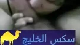 شرموطة تمص زب عشيقها الي بتحبو