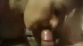 اسمع الدنيا شغل نظيف افلام سكس بتاع حيوانات حيوانات