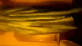 افلام سكس مصري زانق زميلته المحجبة وسط الشجر وينيكها نيك مصري مقاطع سكس مصريه جديدة ساخنة