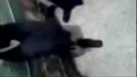 شرطي يغتصب المحجبة
