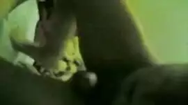 لوطا ولاد شقر سكس