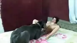 أجمل حيوانات الجنس مع امرأة ساخنة xnx