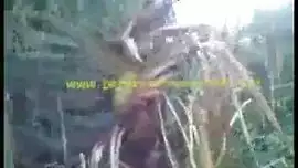 شاب جزائري يريد الاعتداء على صاحبته في الغابة